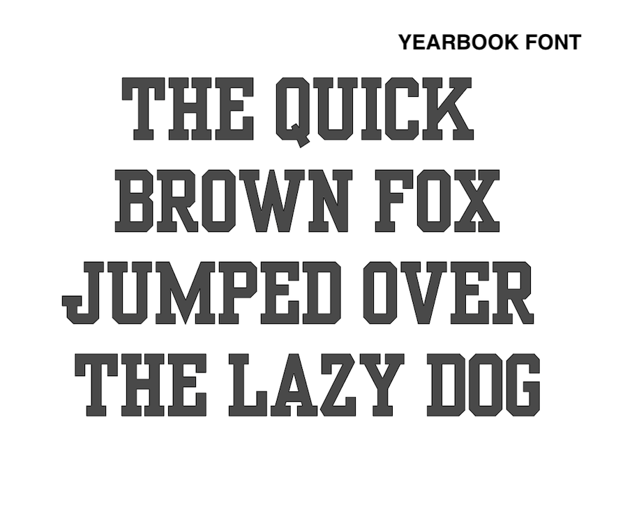 Custom Song Lyric 100% Organic Cotton Tee