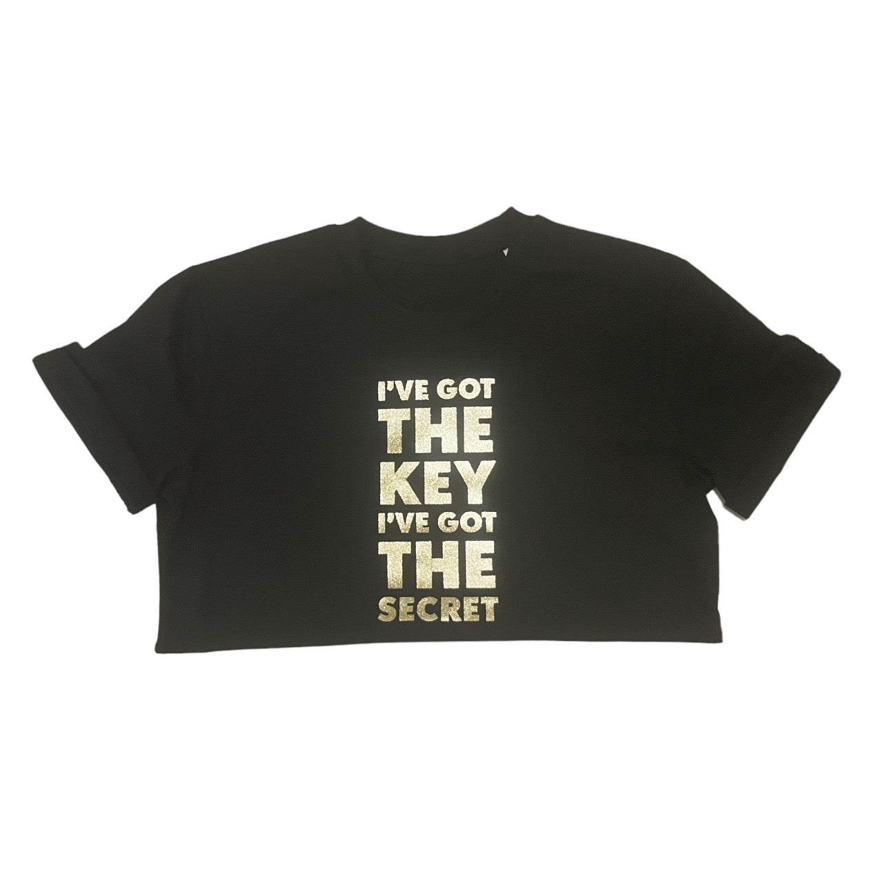 I've Got The Key, I've Got The Secret Tee