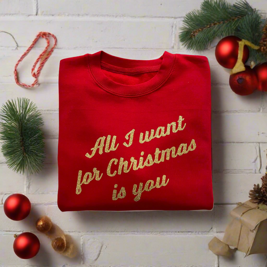 All I Want For Christmas Is You Sweatshirt